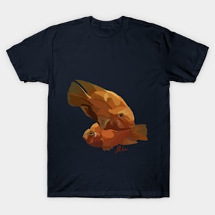 Exotic Goldfish T-Shirt